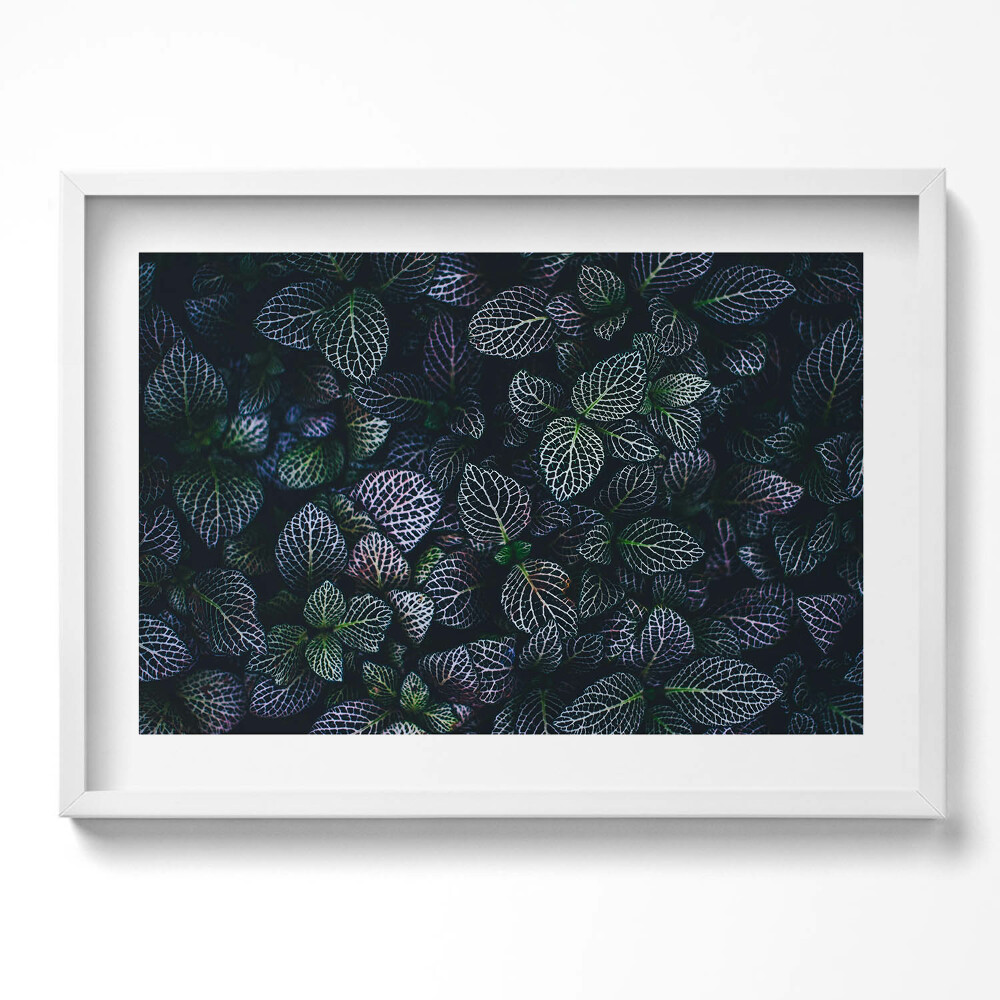 Obraz v rámu moderní Tmavé divoké listy