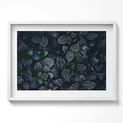 Obraz v rámu moderní Tmavé divoké listy