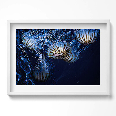 Obraz v rámu moderní Modré medúzy ve vodě