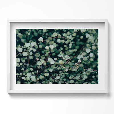Obraz v rámu moderní Drobné listy rostliny