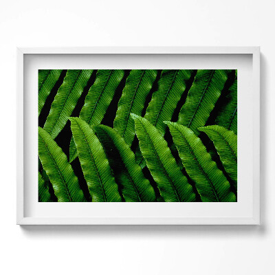 Obraz v rámu moderní Detailní záběr na zelené listy