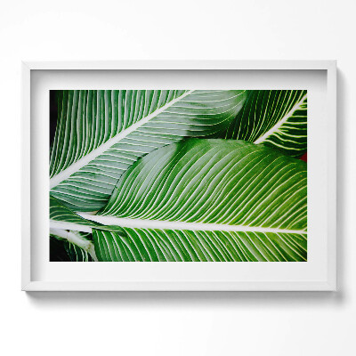 Obraz v rámu moderní Exotické zelené listy