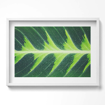 Obraz v rámu moderní Textura listů a žilky