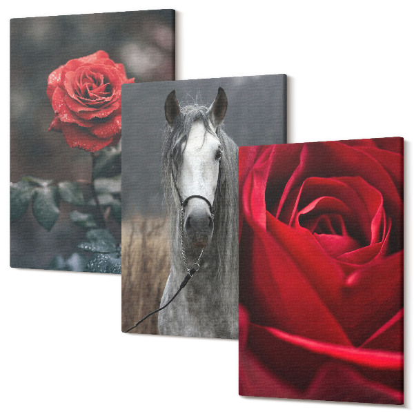 Sada obrazů triptych Červené růže a kůň v šedém prostředí