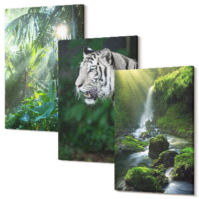 Sada obrazů triptych Džungle s bílým tygrem a divokým vodopádem
