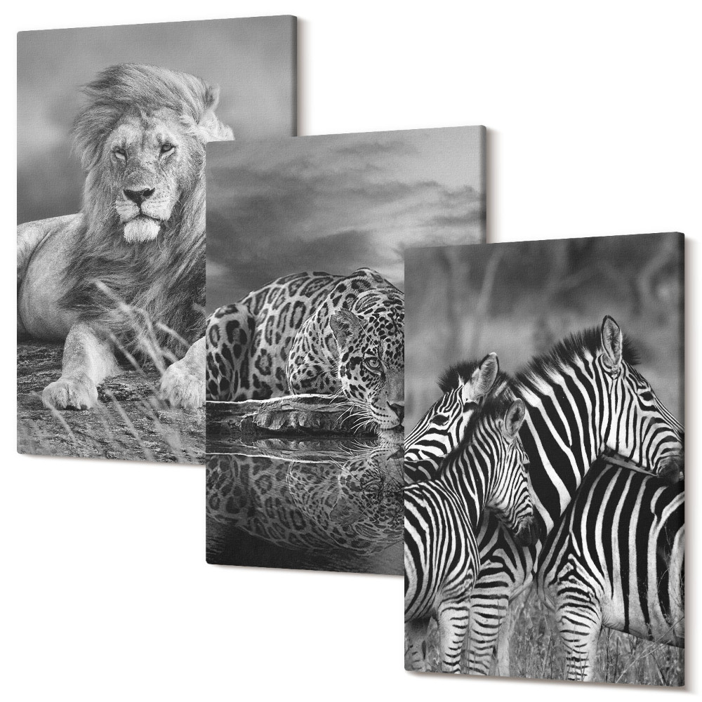 Sada obrazů triptych Divoká zvířata savany: lev, jaguár a zebra