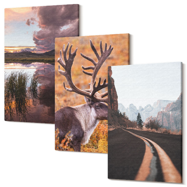 Sada obrazů triptych Horské krajiny se soby a silnice v přírodě