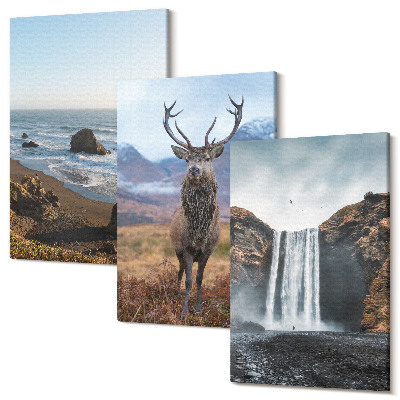 Sada 3 obrazů Horské krajiny s vodopádem, jelenem a pláží