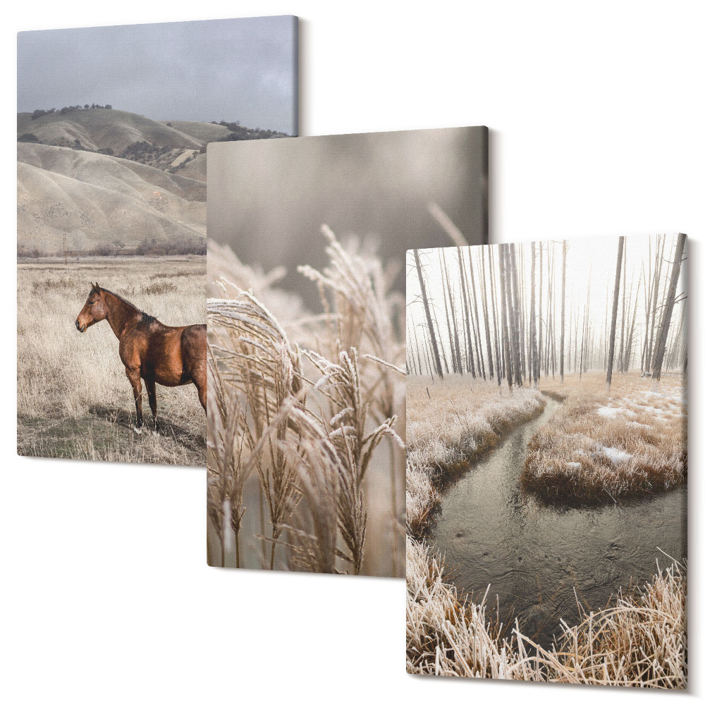 Sada obrazů na zeď triptych Koně v krajině trav a zimního potoka