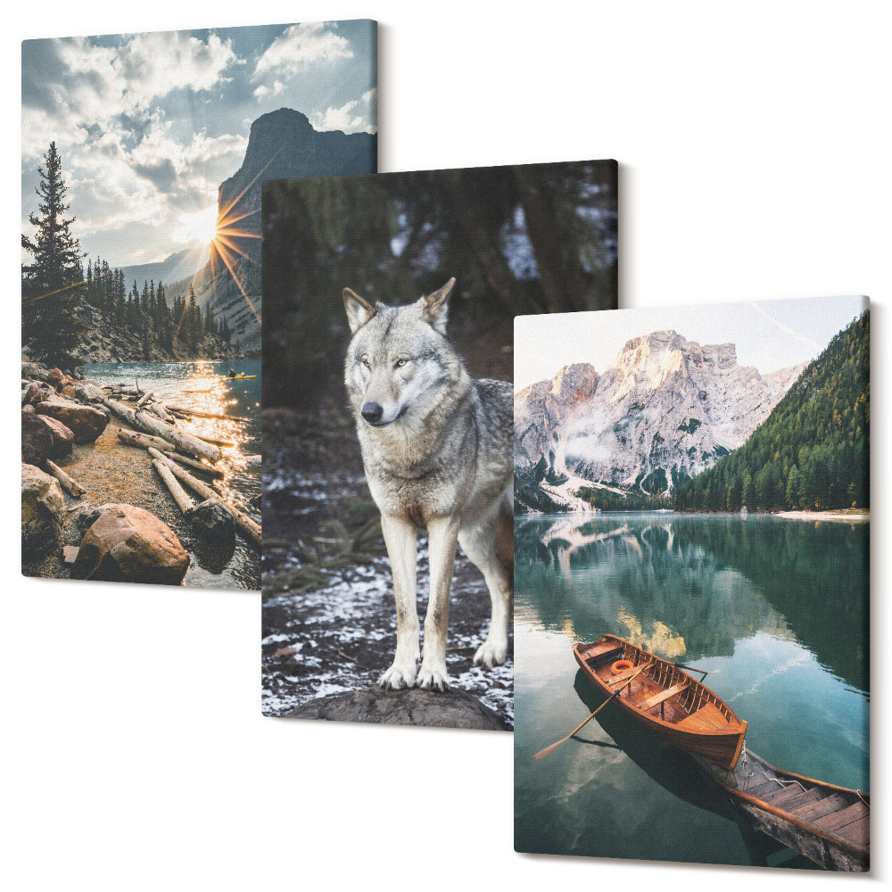 Sada obrazů triptych Hory, jezera a vlk v přírodním prostředí