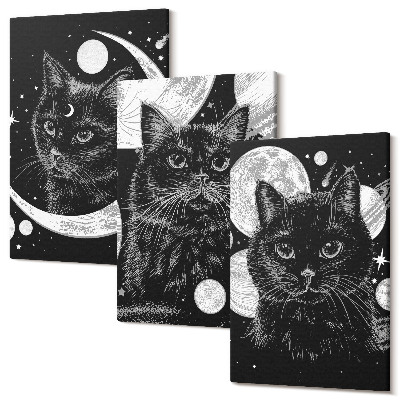 Sada 3 obrazů Černé kočky na pozadí měsíce a planet ve vesmíru