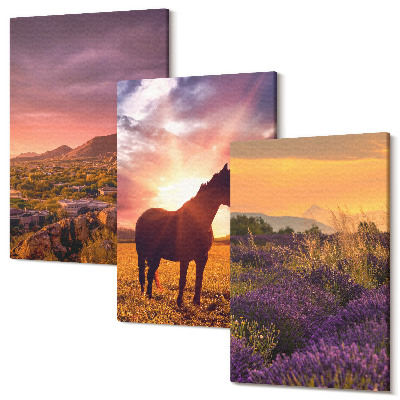Sada 3 obrazů Horské krajiny s koňmi a levandulovými poli