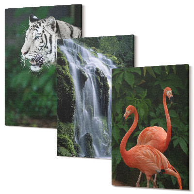 Sada 3 obrazů Tygří vodopád a růžoví plameňáci v přírodě