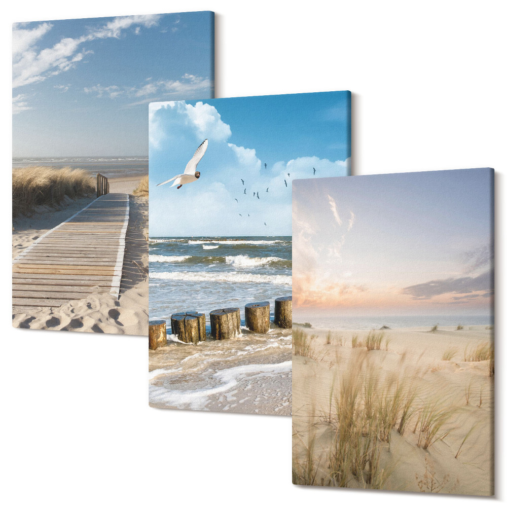 Sada obrazů na zeď triptych Pláž s pískem, vlnami, oblohou a ptáky v letu