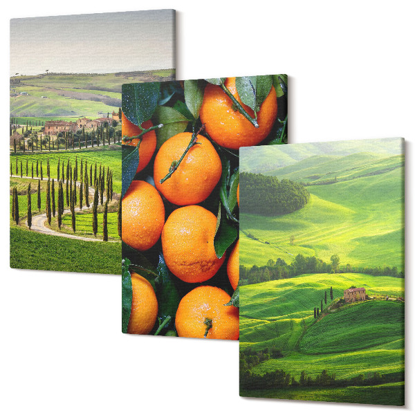 Sada obrazů na zeď triptych Italská venkovská krajina s pomeranči a přírodou
