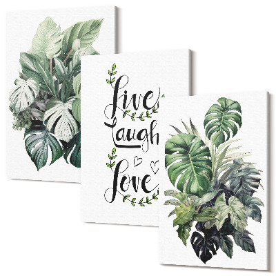 Sada 3 obrazů Listnaté rostliny se slovy žít, smát se, milovat