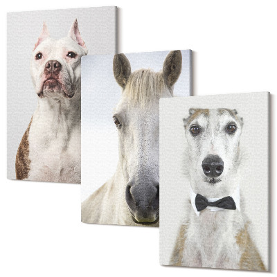 Sada obrazů triptych Zajímavé portréty psů a koní v elegantním stylu