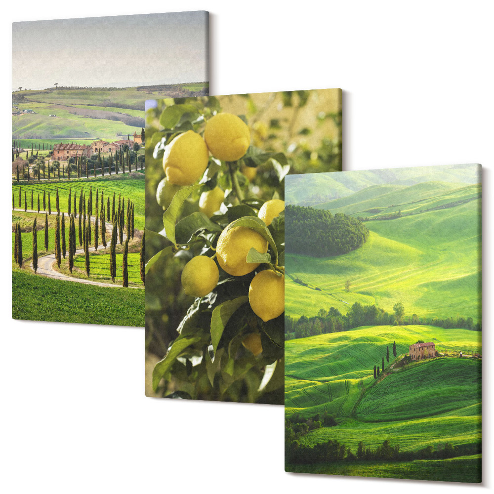 Sada obrazů na zeď triptych Italská krajina s citrusovými stromy a zelenými kopci