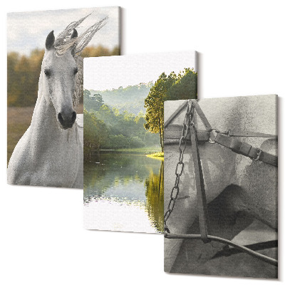 Sada obrazů triptych Bílí koně u řeky přírodní krajiny