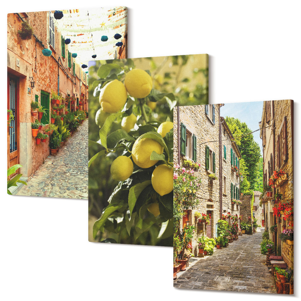 Sada obrazů triptych Okouzlující ulice s květinami a citrony v pozadí