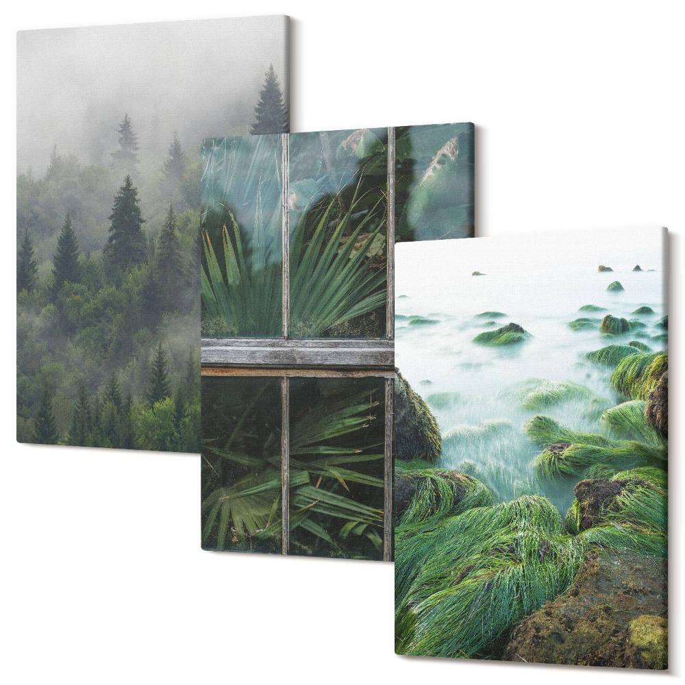Sada 3 obrazů Les v mlze, břeh řeky a skleník s rostlinami