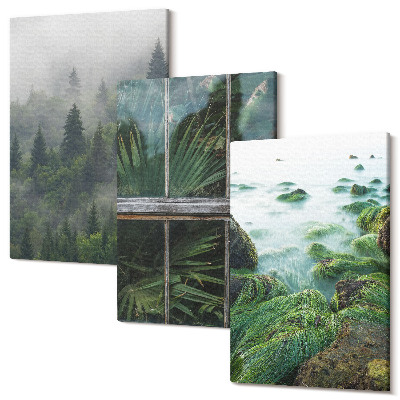 Sada 3 obrazů Les v mlze, břeh řeky a skleník s rostlinami