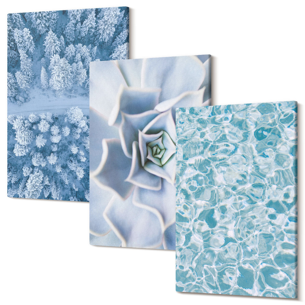 Sada obrazů na zeď triptych Zimní lesní modrá květina modrá vodní hladina