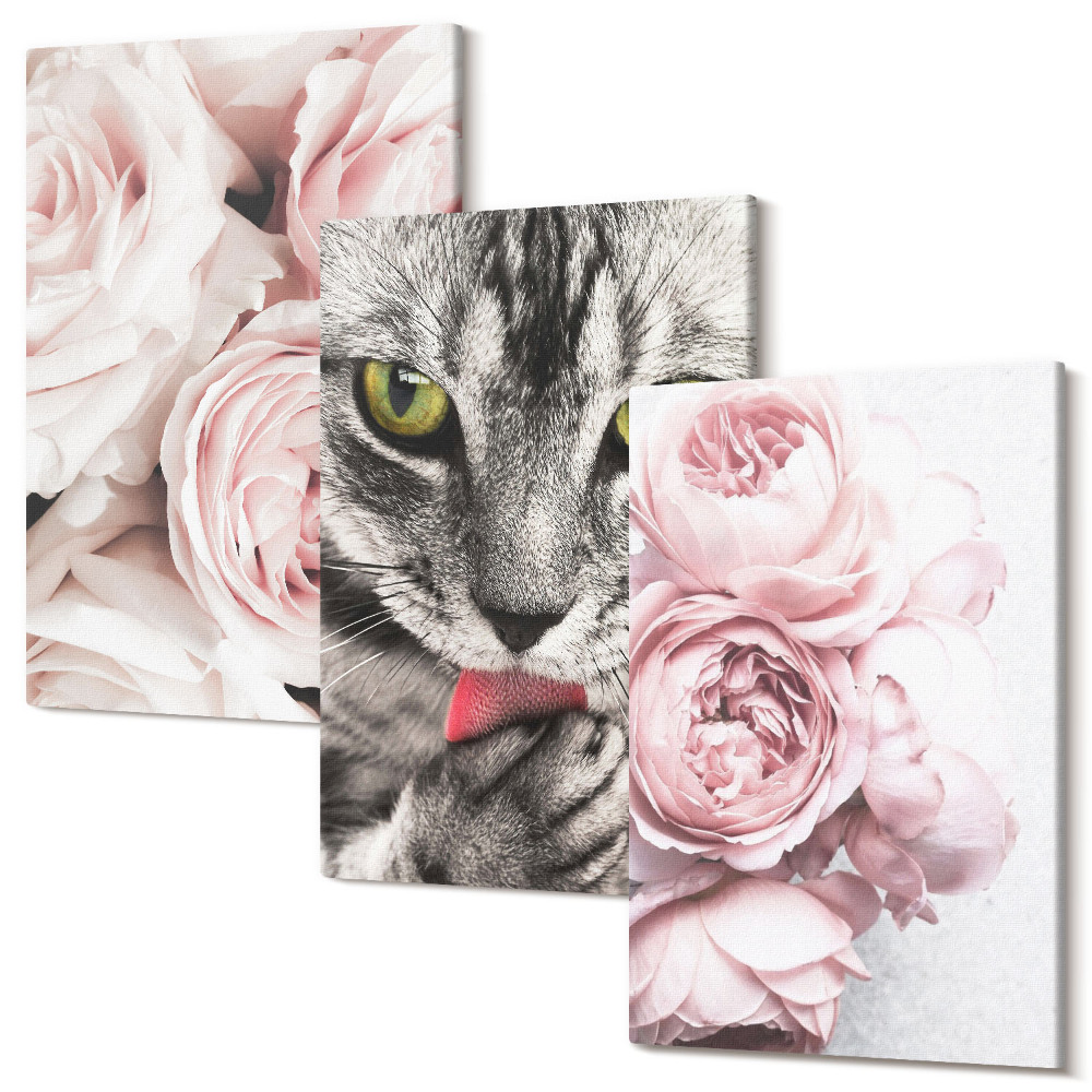 Sada obrazů triptych Kočka mezi růžovými květy růží a pivoněk