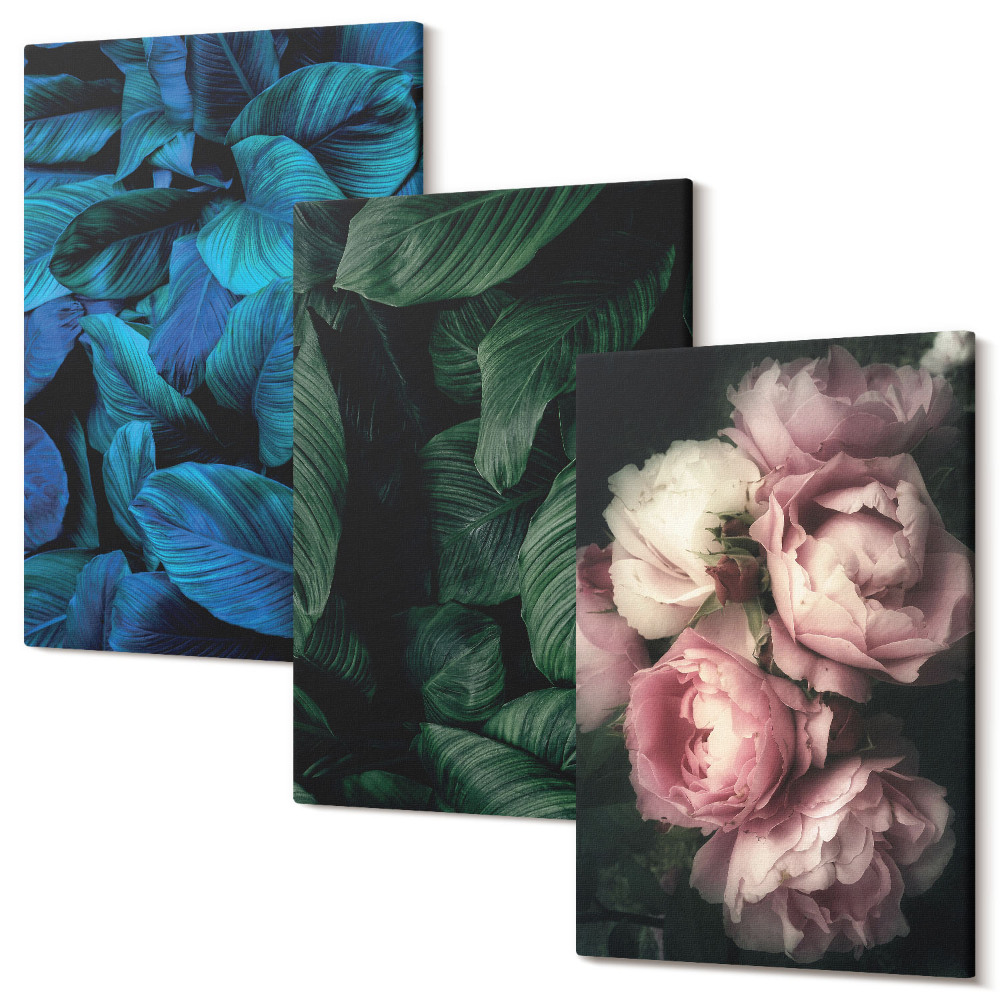 Sada 3 obrazů Listy a květy v různých barvách