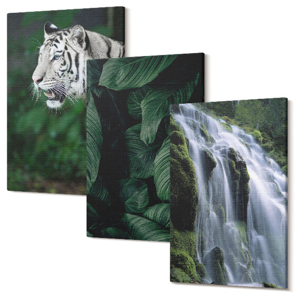 Sada obrazů triptych Listy bílého tygra a vodopád v přírodním prostředí
