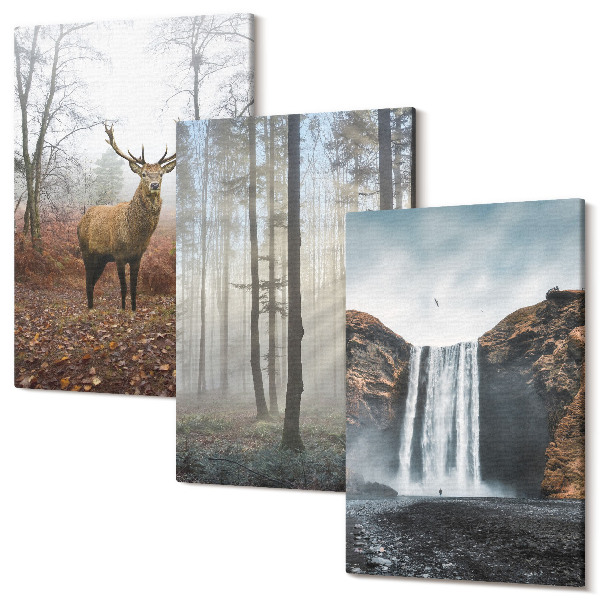 Sada obrazů na zeď triptych Lesní krajina divoká příroda jelen