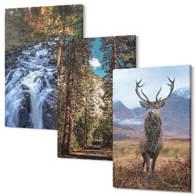 Sada 3 obrazů Vodopád v lese, hory a jeleni v přírodě