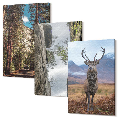 Sada obrazů triptych Cesta v lese, hory a jeleni v přírodě