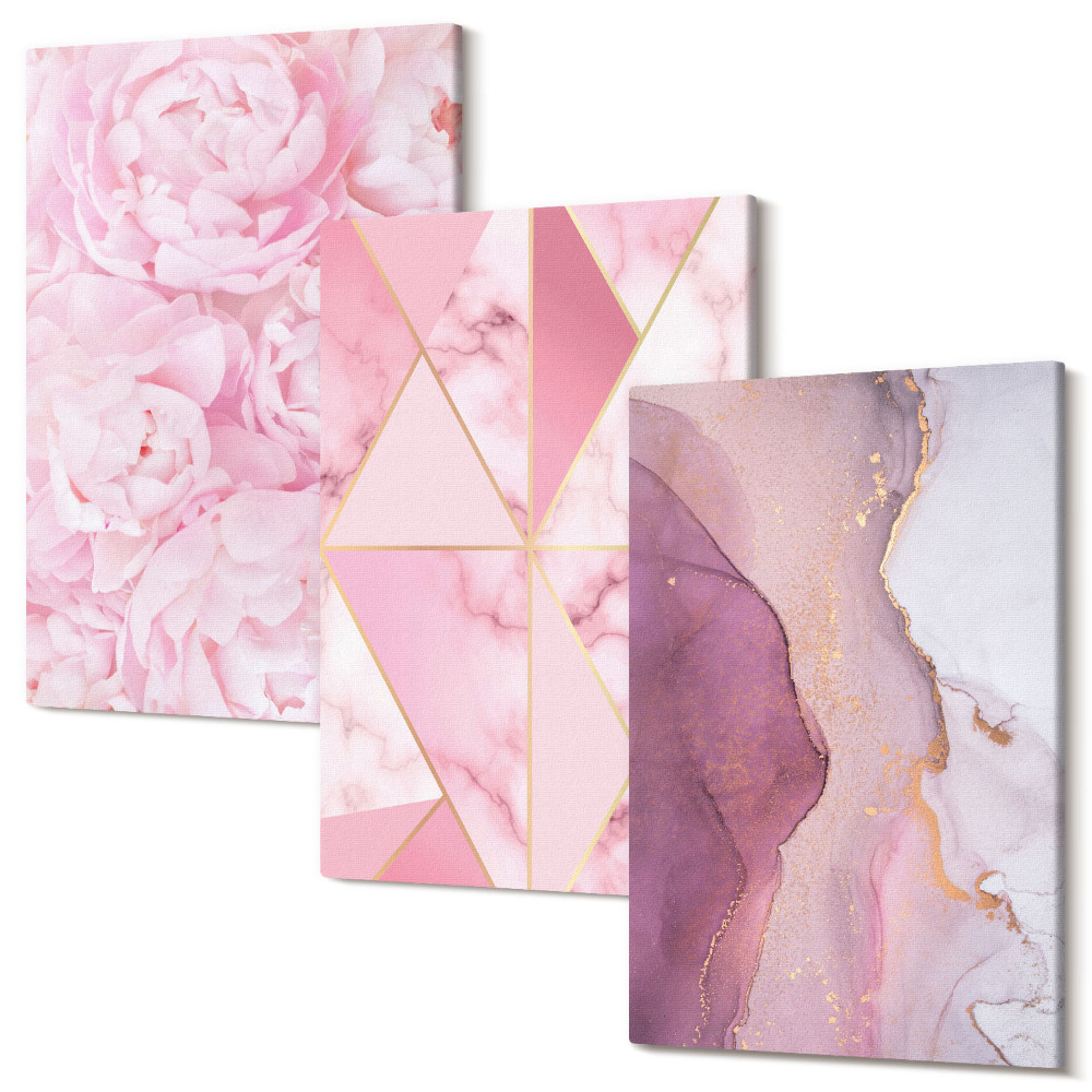 Sada 3 obrazů Růžové květy pivoňky geometrické vzory