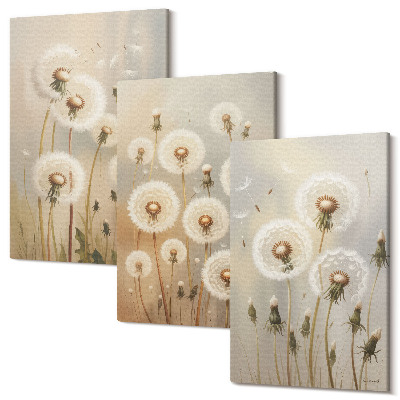 Sada obrazů triptych Bílé pampelišky na pozadí jasných barev