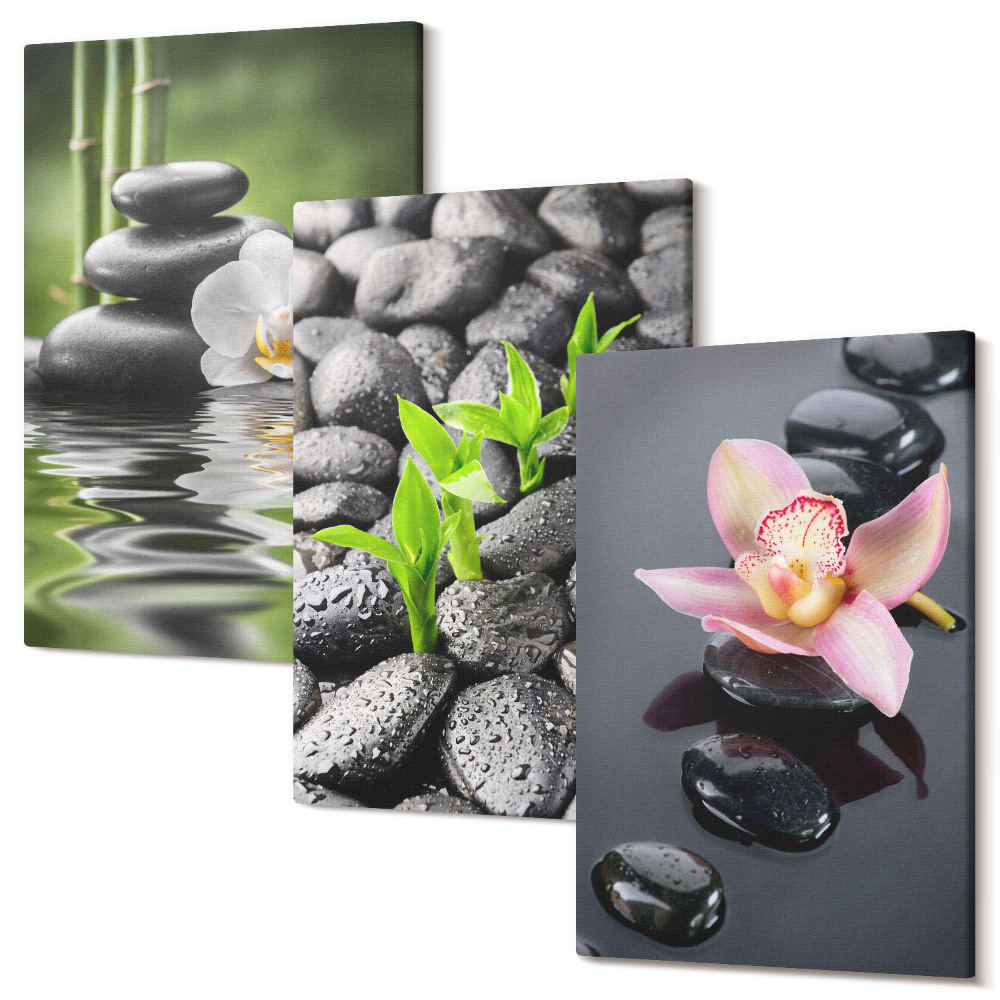 Sada obrazů na zeď triptych Poklidná zenová kompozice kamenů a květin na vodě