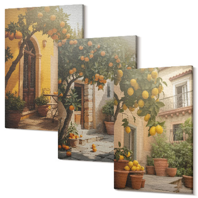 Sada obrazů triptych Slunná terasa s citrusovými stromy a květináči