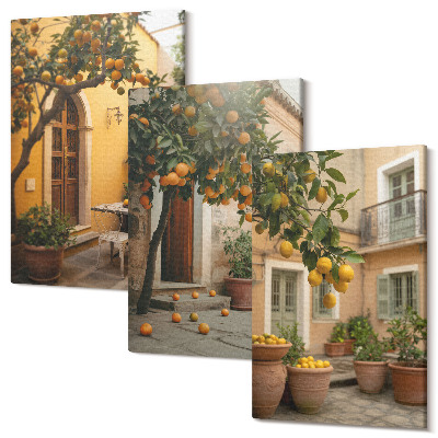 Sada obrazů na zeď triptych Zahrada s citrusovými stromy ve slunném prostředí