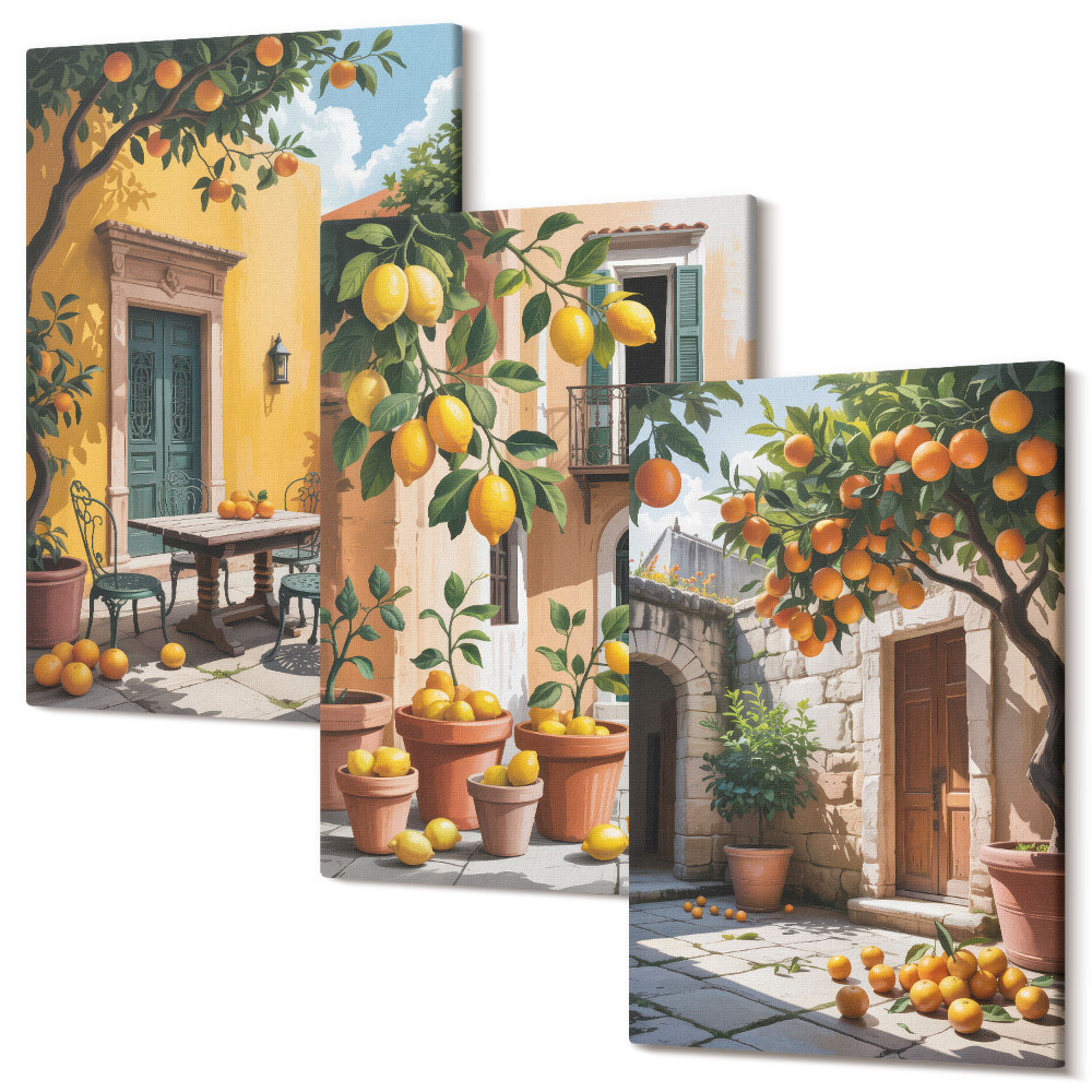 Sada 3 obrazů Citrusové plody ve slunném zahradním prostředí