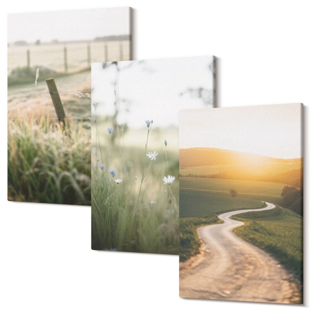 Sada obrazů na zeď triptych Krajina s loukou, silnicí a západem slunce