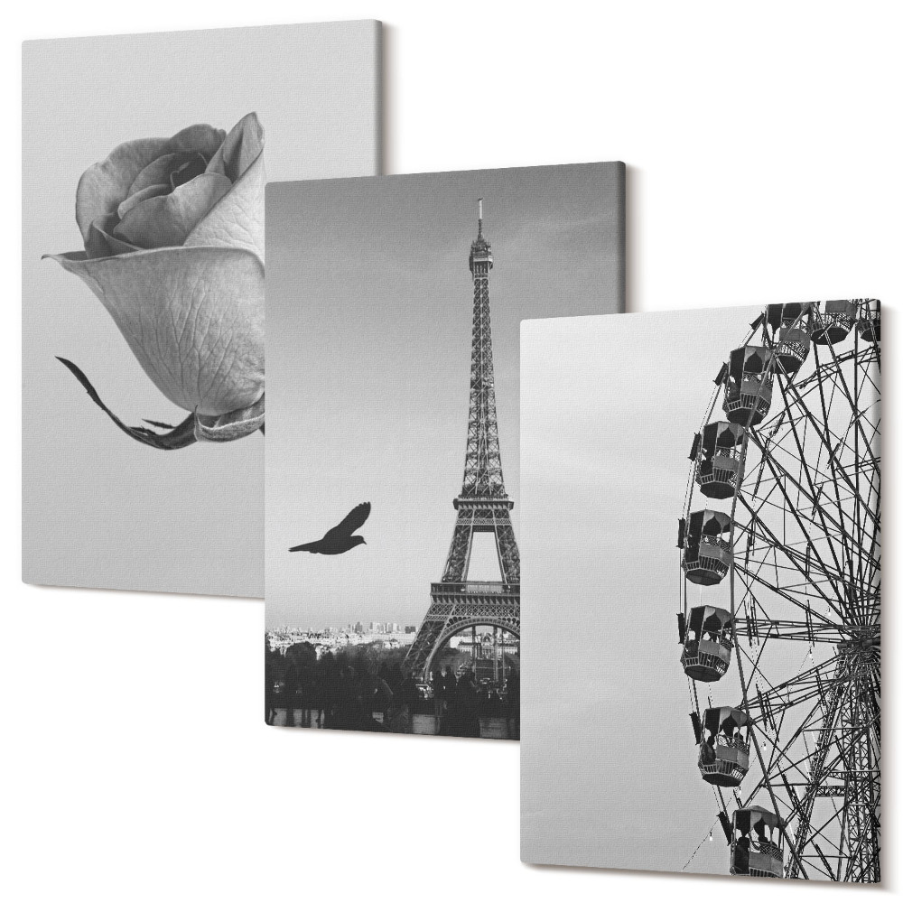 Sada 3 obrazů Rose Eiffelova věž a ruské kolo v monochromatickém provedení