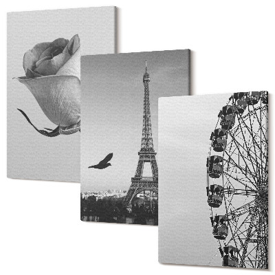 Sada 3 obrazů Rose Eiffelova věž a ruské kolo v monochromatickém provedení