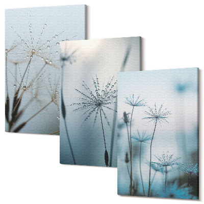 Sada obrazů triptych Jemné pampelišky s kapkami vody