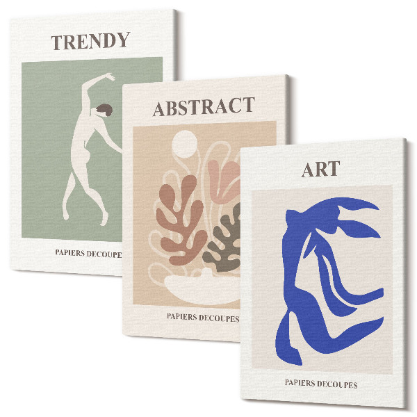 Sada obrazů na zeď triptych Stylové plakáty postav a rostlin od Henriho Matisse
