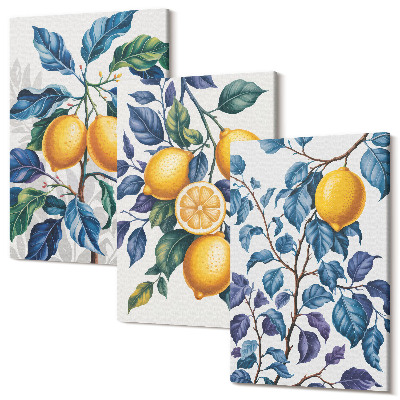 Sada obrazů triptych Citrony na větvích s modrými listy