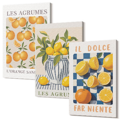 Sada obrazů na zeď triptych Retro citrusové plody se žlutými akcenty