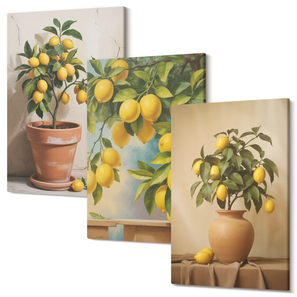 Sada obrazů triptych Citronové stromy v květináčích a vázách