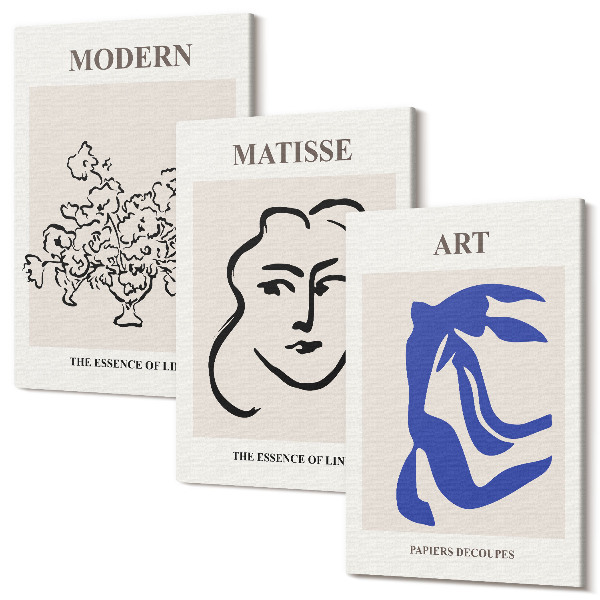 Sada 3 obrazů Abstraktní plakáty v minimalistickém stylu Henriho Matisse