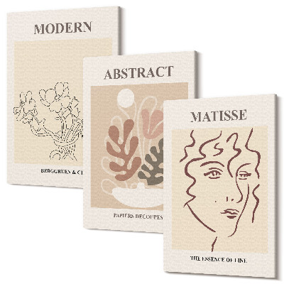 Sada 3 obrazů Rostlinné motivy a linie v moderním stylu