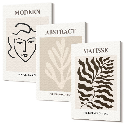 Sada obrazů triptych Tvář a listy ilustrací grafiky Henri Matisse